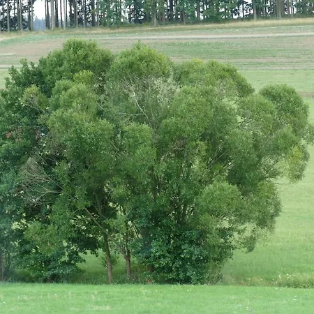 Zum Wiesengrund Blecher Breidenbach
