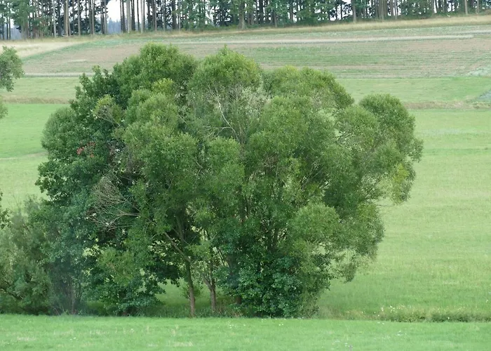 Zum Wiesengrund Blecher Breidenbach