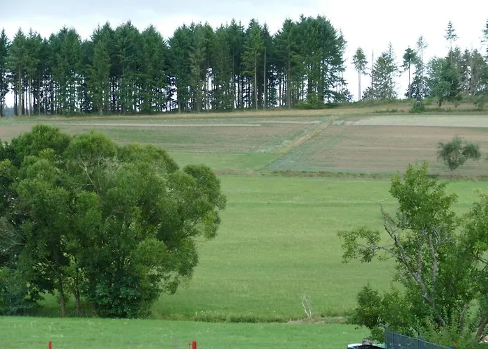 Zum Wiesengrund Blecher アパート