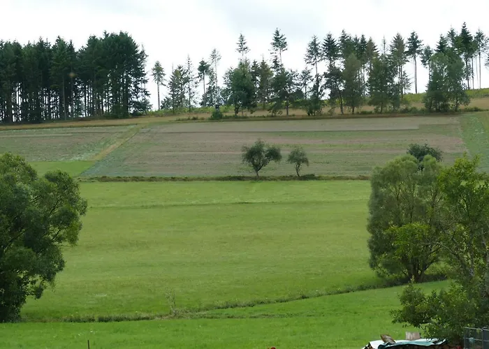 Zum Wiesengrund Blecher アパート *